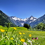 Trettachtal - Alpen, Blumenwiesen und Berge mit Schnee auf Gipfeln