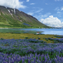 Isafjordur